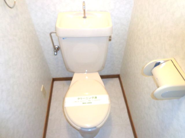 Toilet. Western-style toilet