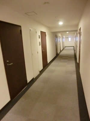 Entrance. Stylish joint corridor