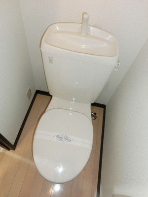 Toilet. Toilet