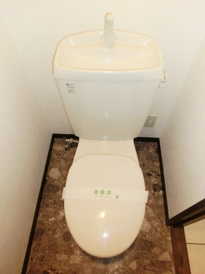 Toilet. It is a toilet with a clean