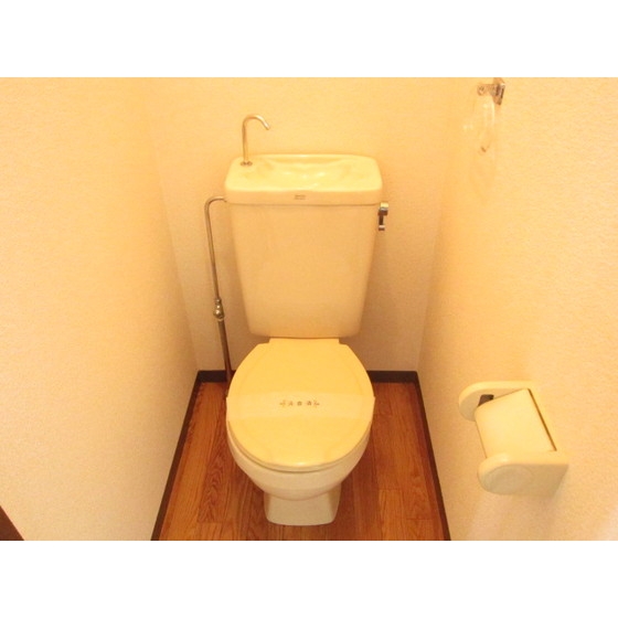 Toilet. Toilet