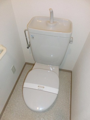 Toilet. Toilet