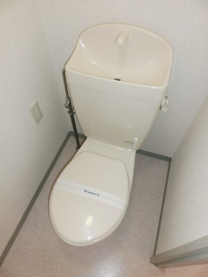 Toilet. Toilet