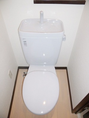 Toilet. Western-style toilet