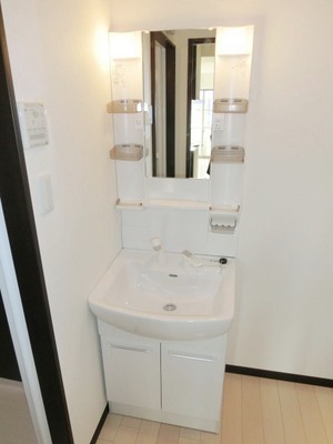 Washroom. Convenient Vanity