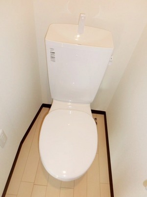 Toilet. Toilet