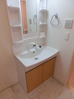 Washroom. Wash basin with shampoo dresser