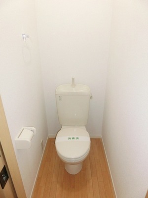 Toilet. Simple toilet