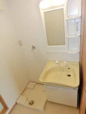 Washroom. Shampoo basin with vanity