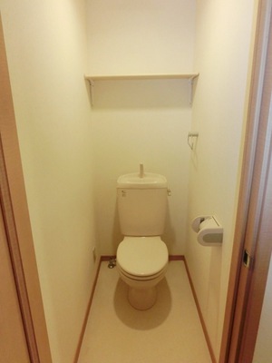 Toilet. We have with a shelf at the top.