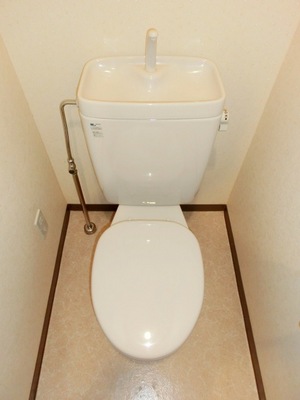 Toilet. It is a toilet with a clean