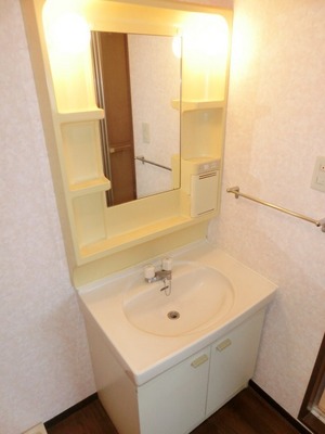 Washroom. Convenient independent vanity