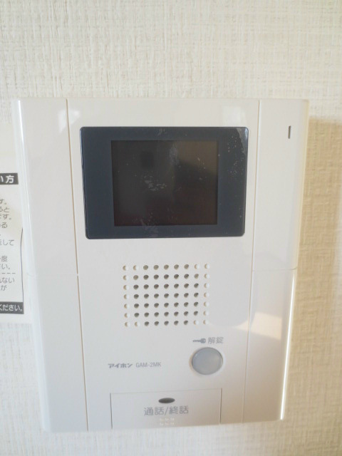 Other. It survives and TV intercom there.