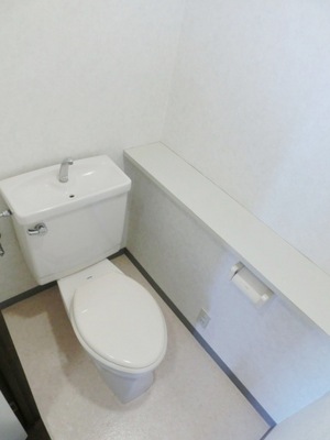 Toilet. Standard toilets