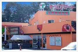 Supermarket. 280m to the top Mart