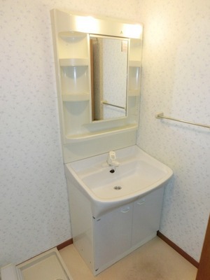 Washroom. Convenient Vanity