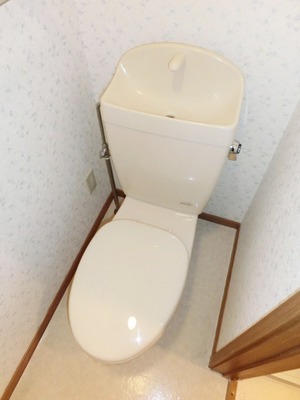 Toilet. Toilet