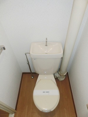 Toilet. Independent of the toilet is a simple type