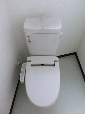 Toilet. It is with a bidet