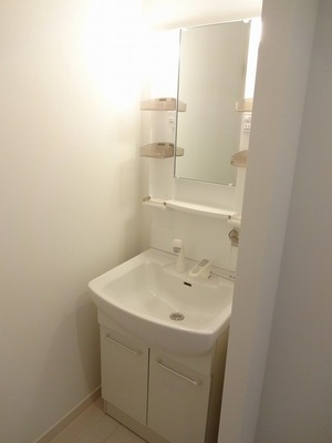 Washroom. Vanity with shampoo dresser.