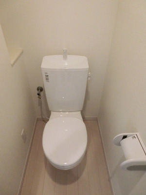 Toilet. Standard toilets