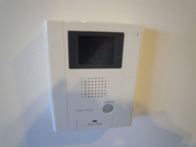 Security. Monitor with intercom