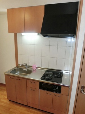 Kitchen. 2 lot gas stoves with kitchen