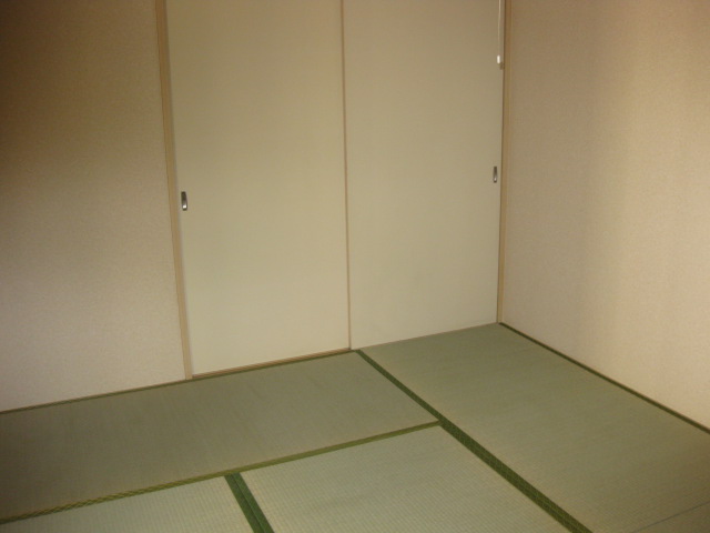 Other room space. There is storage space.