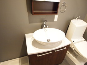 Washroom. Stylish vanity ☆