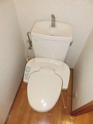 Toilet. Toilet with warm water washing toilet seat