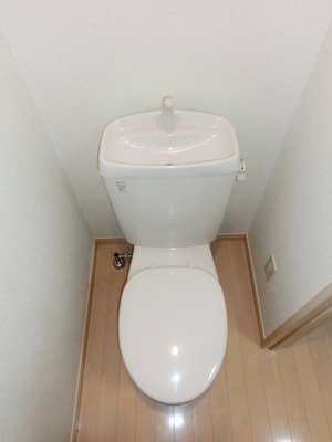 Toilet. It is a simple toilet