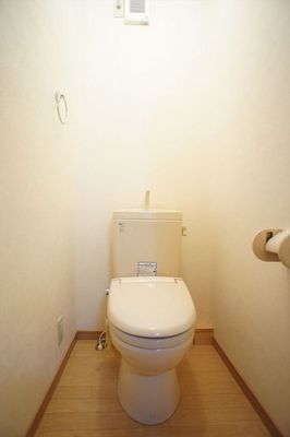 Toilet. Spacious toilet.