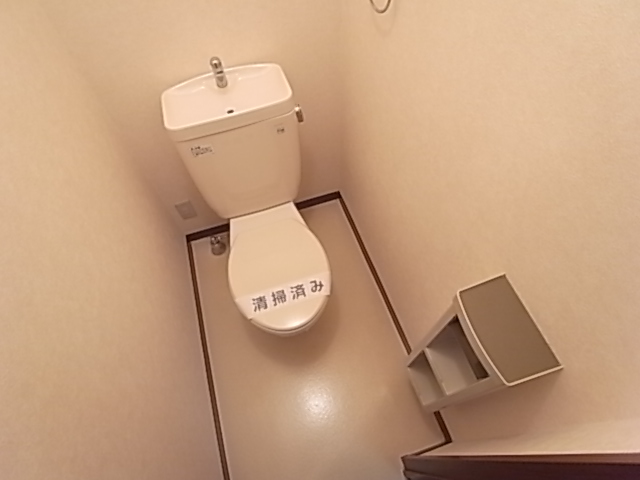 Other. It is a toilet with a clean