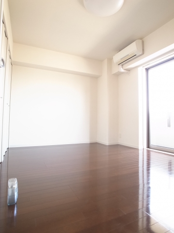 Living and room. Dark color of the floor, Pale walls and ceiling. 