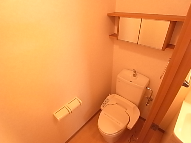 Toilet. There is a mirror with shelf.