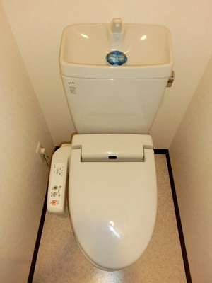 Toilet. Warm water cleaning toilet seat with toilet