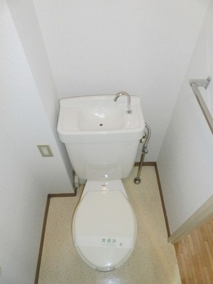 Toilet. Toilet