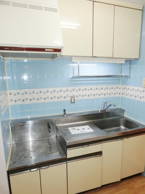 Kitchen. Two-burner gas stove can be installed