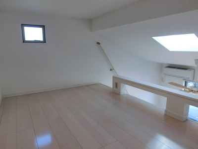 Other room space. Skylight with a loft