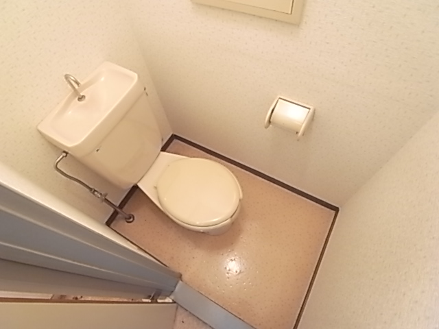 Other. It is a toilet with a clean