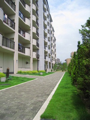 Other common areas. Lush common areas. It is also good for a walk all round the site.