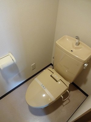 Toilet. Toilet with heat insulation function.