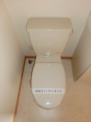 Toilet. Standard toilets