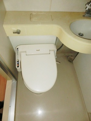 Toilet. It comes with a bidet function.