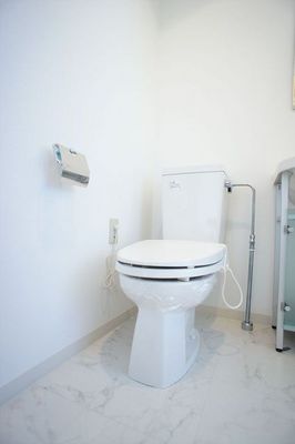 Toilet. It is with a warm heating toilet seat even in winter.