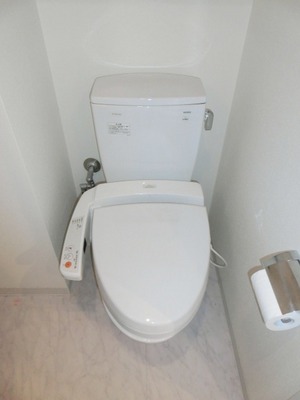 Toilet. Toilet with warm water washing toilet seat