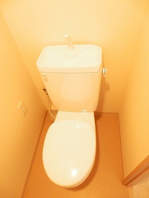 Toilet. It is a clean toilet