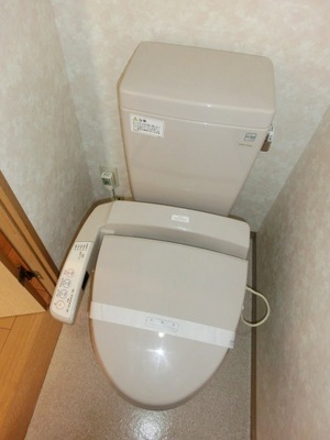 Toilet. Toilet with warm water washing toilet seat