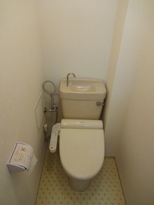 Toilet. Toilet equipped with a warm water washing toilet seat. (No guarantee)