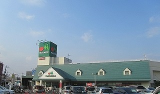 Supermarket. Maruetsu Soga Minamicho store up to (super) 863m